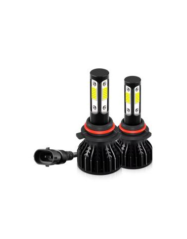 bulbs