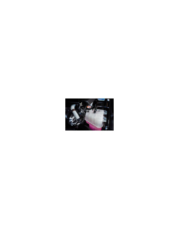 r_1_518574049_2090471411